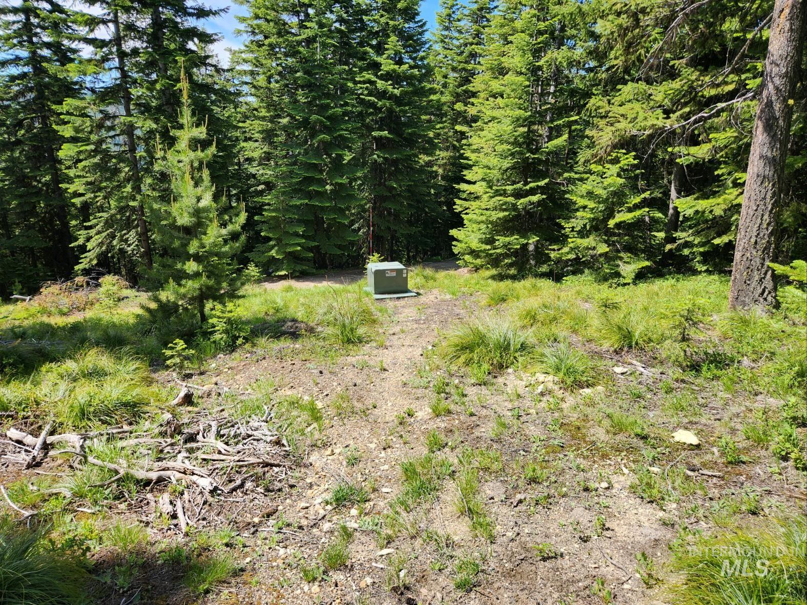 524 Rhett Creek Road Elk City, ID 83525 - Photo 13 of 26