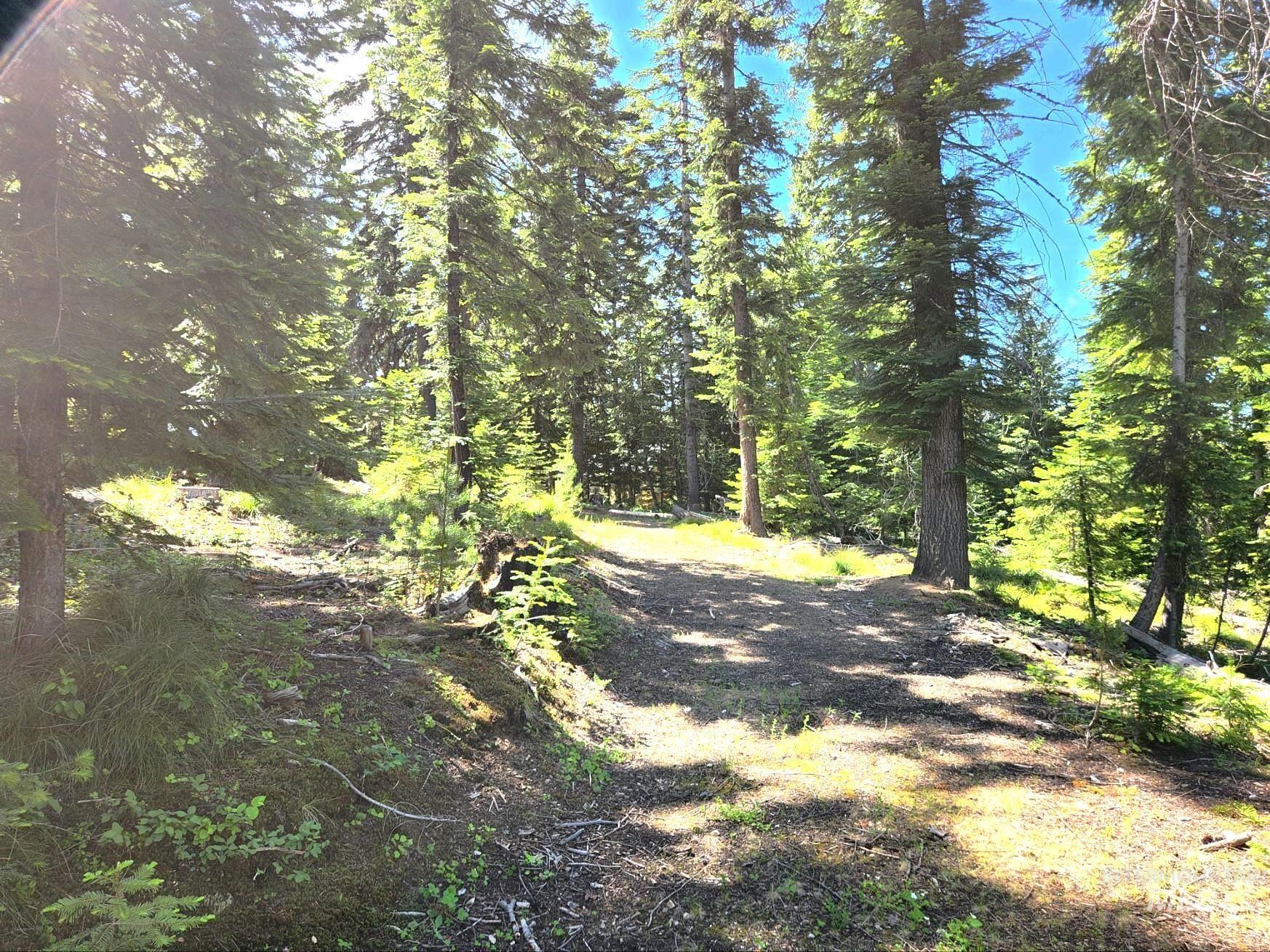 524 Rhett Creek Road Elk City, ID 83525 - Photo 14 of 26