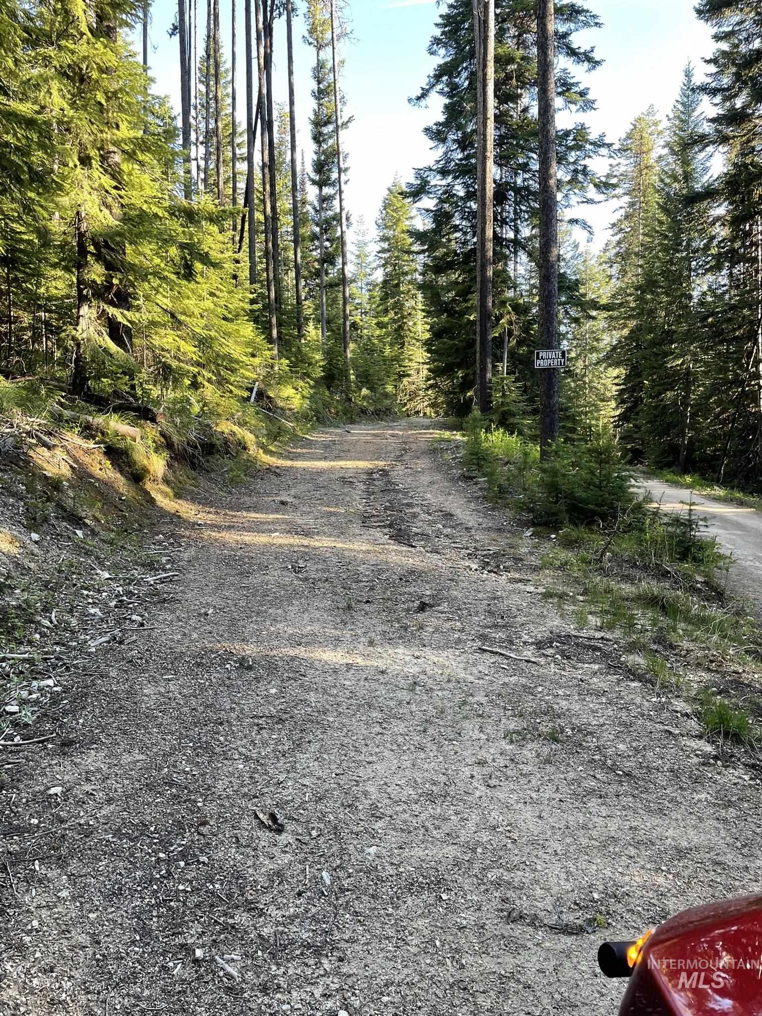 524 Rhett Creek Road Elk City, ID 83525 - Photo 15 of 26