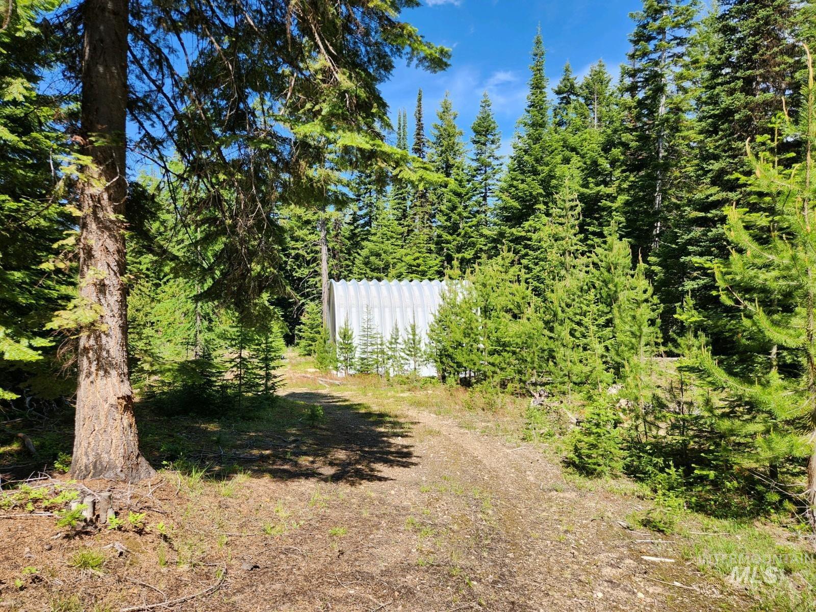 524 Rhett Creek Road Elk City, ID 83525 - Photo 17 of 26