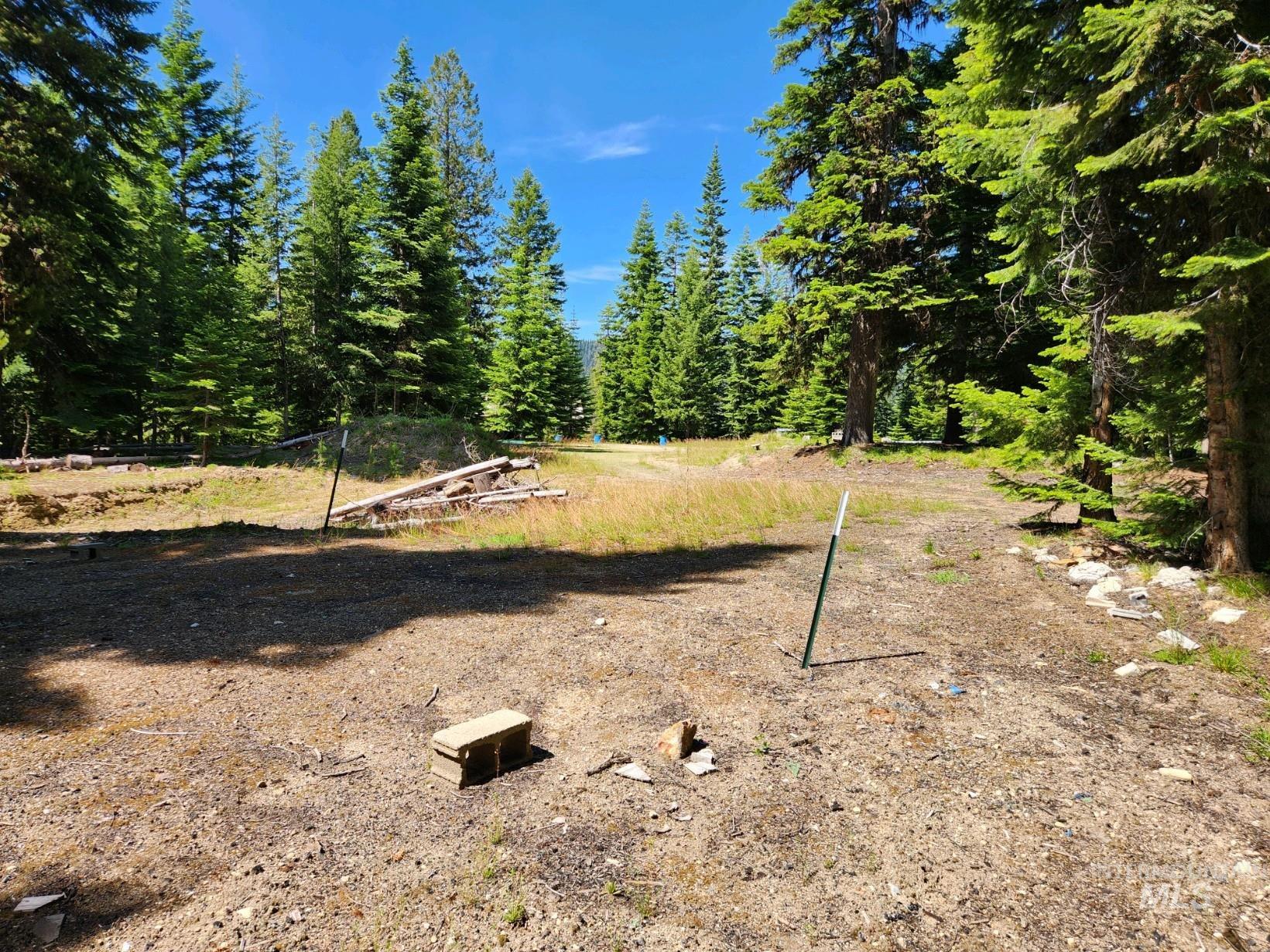 524 Rhett Creek Road Elk City, ID 83525 - Photo 18 of 26