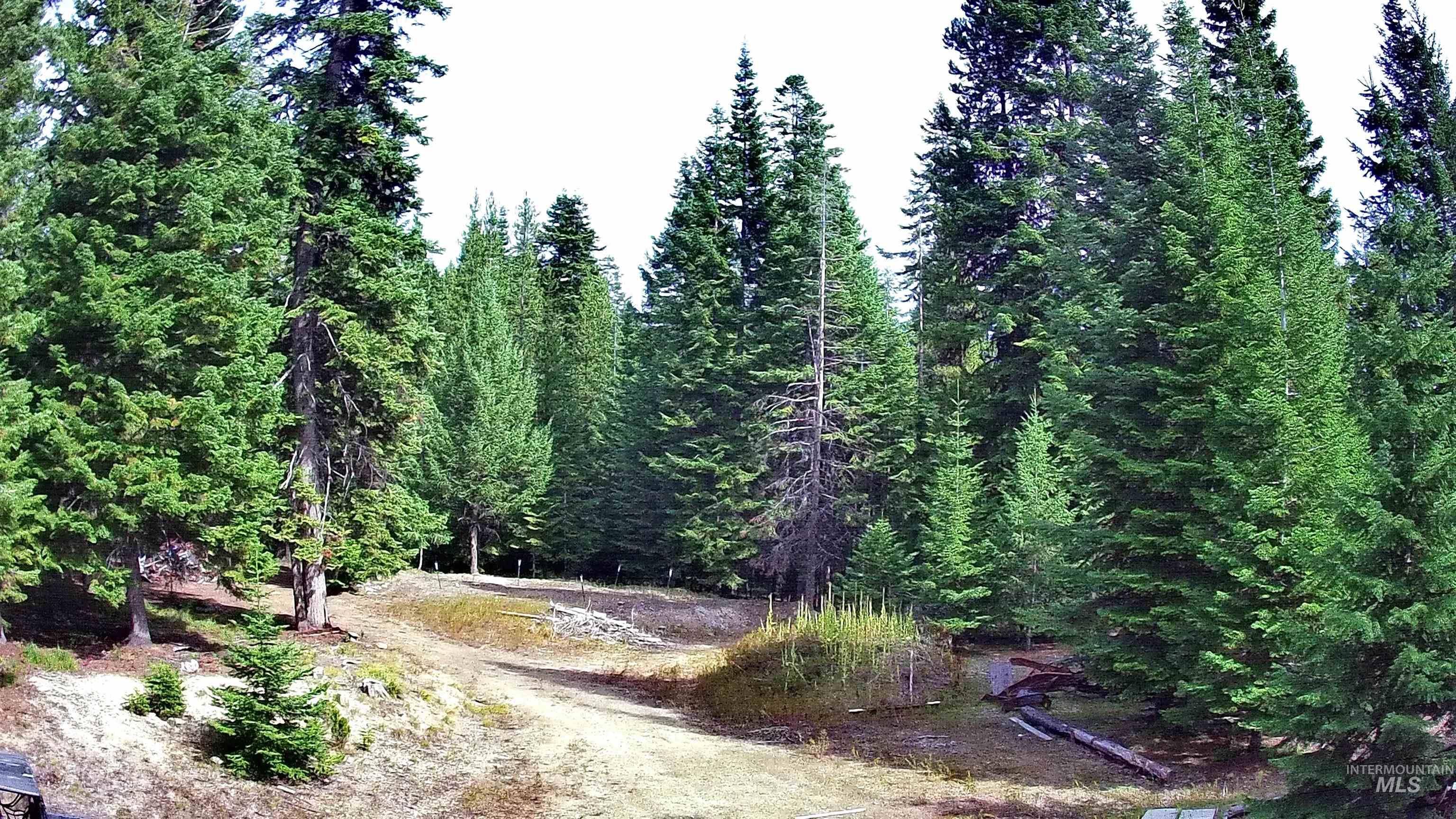 524 Rhett Creek Road Elk City, ID 83525 - Photo 23 of 26