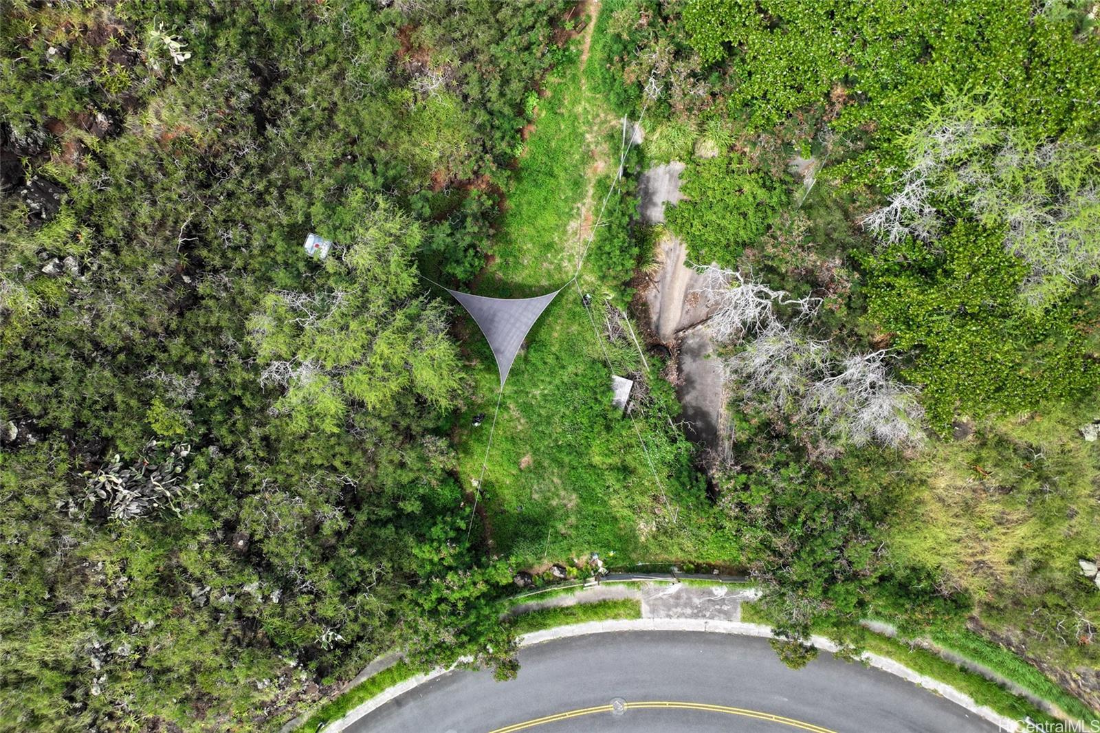 5404 Poola Street Honolulu, HI 96821 - Photo 3 of 11 a view of a yard with plants and large trees