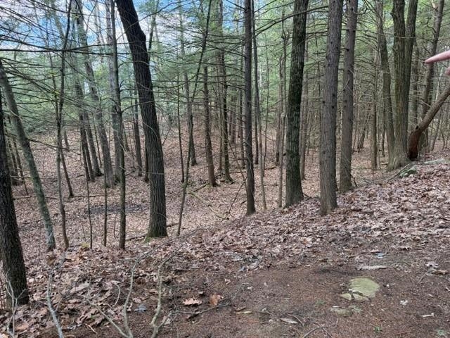 66 Whipplewill Road New Boston, NH 03070 - Photo 39 of 41