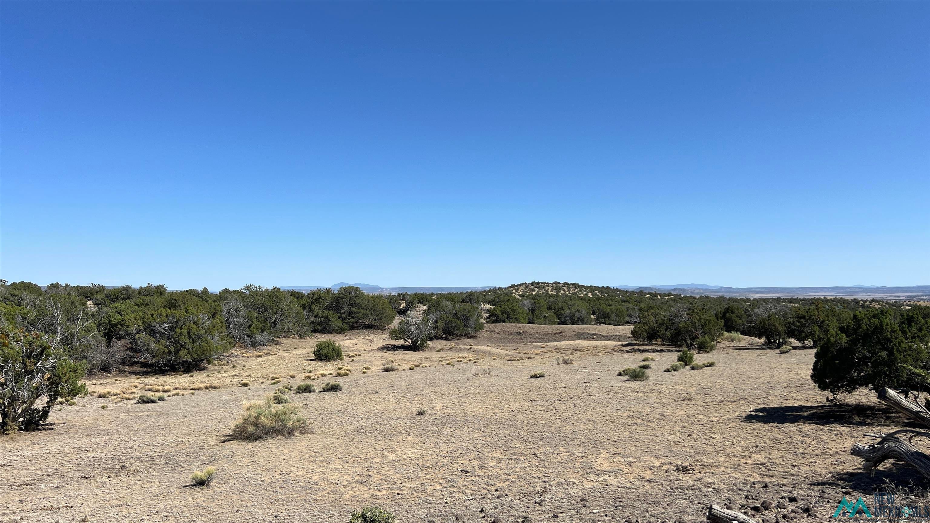 31 Henderson Road Quemado, NM 87829 - Photo 20 of 35