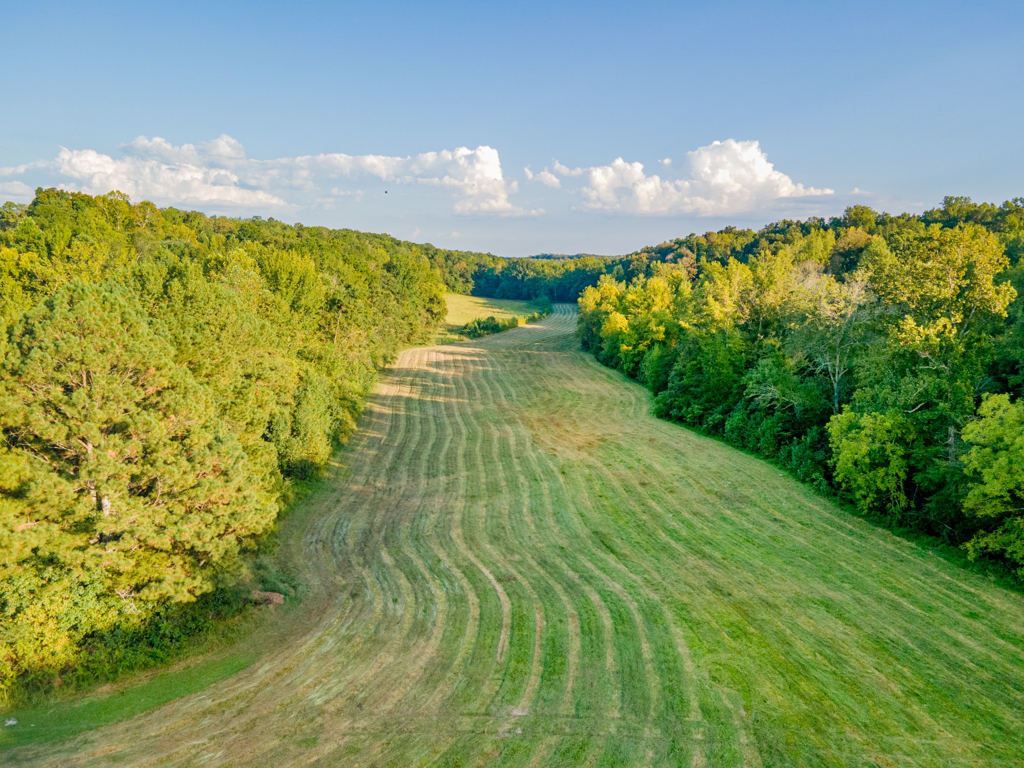 78 Shannon Road Leoma, TN 38468 - Photo 7 of 10 Gallery Image 7