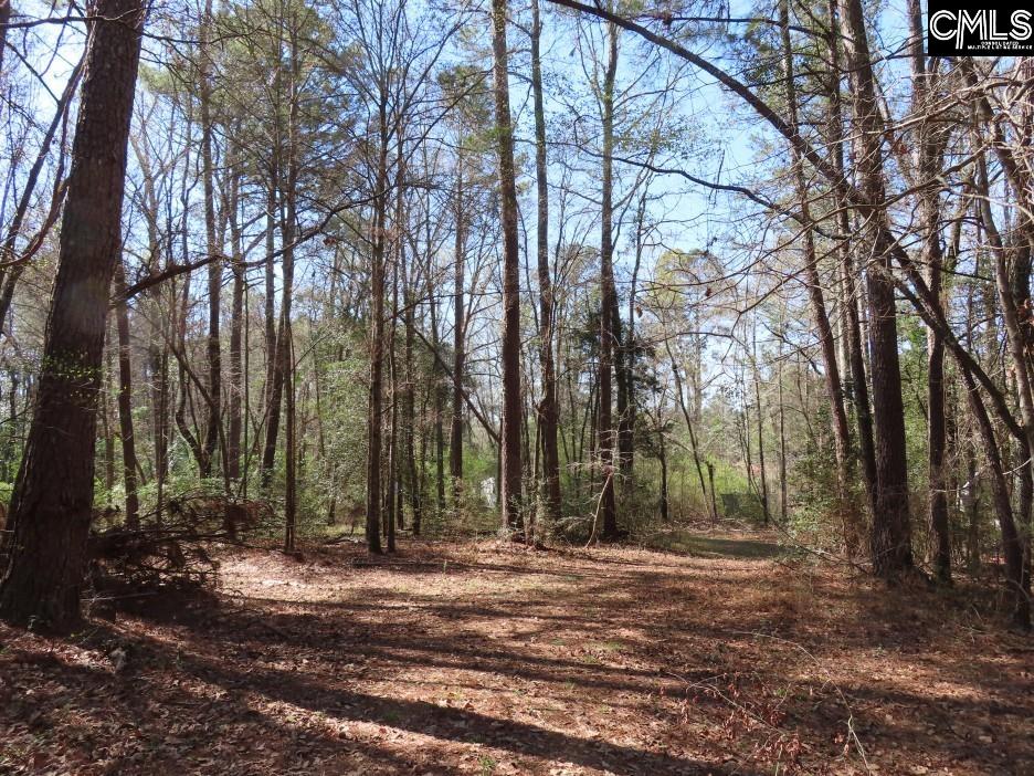1672 Dixired Road Leesville, SC 29070 - Photo 45 of 67