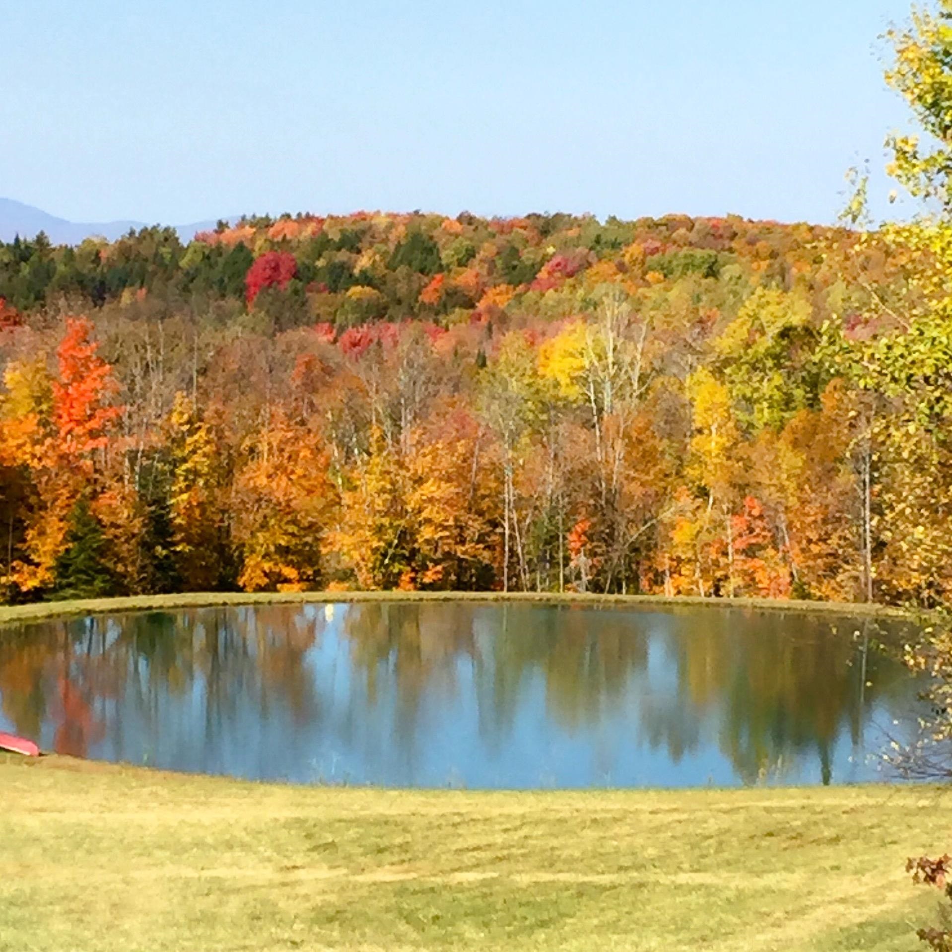 4088 Hinman Settler Road Derby, VT 05855 - Photo 10 of 50 Gallery Image 10