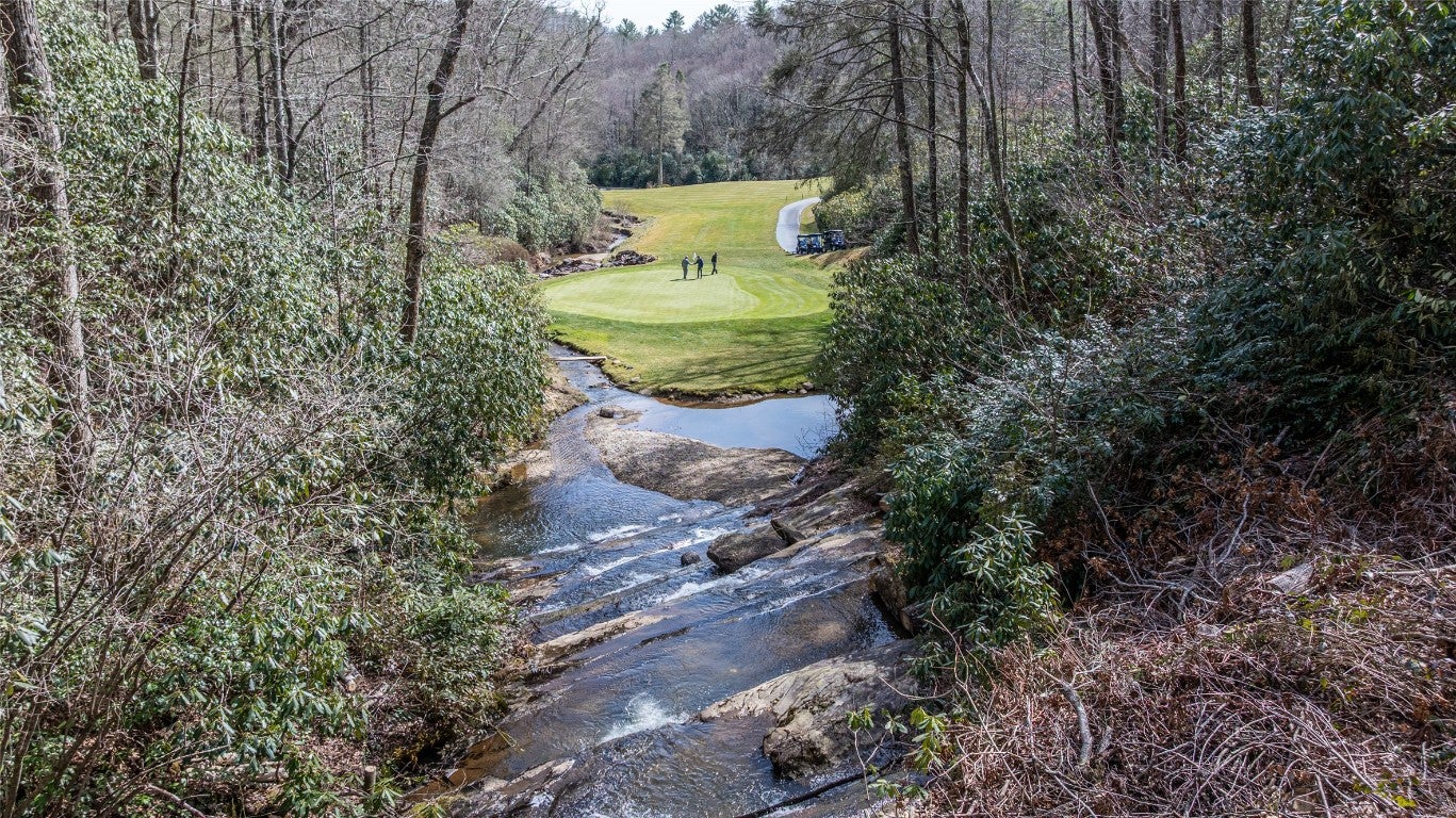 17 River Overlook Road Sapphire, NC 28774 - Photo 5 of 51 Gallery Image 5