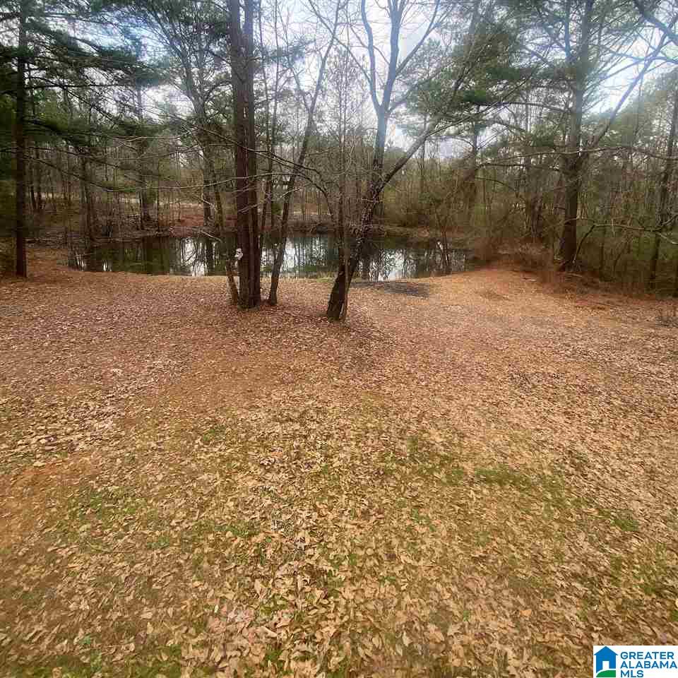 3672 Spunky Hollow Road Remlap, AL 35133 - Photo 28 of 34