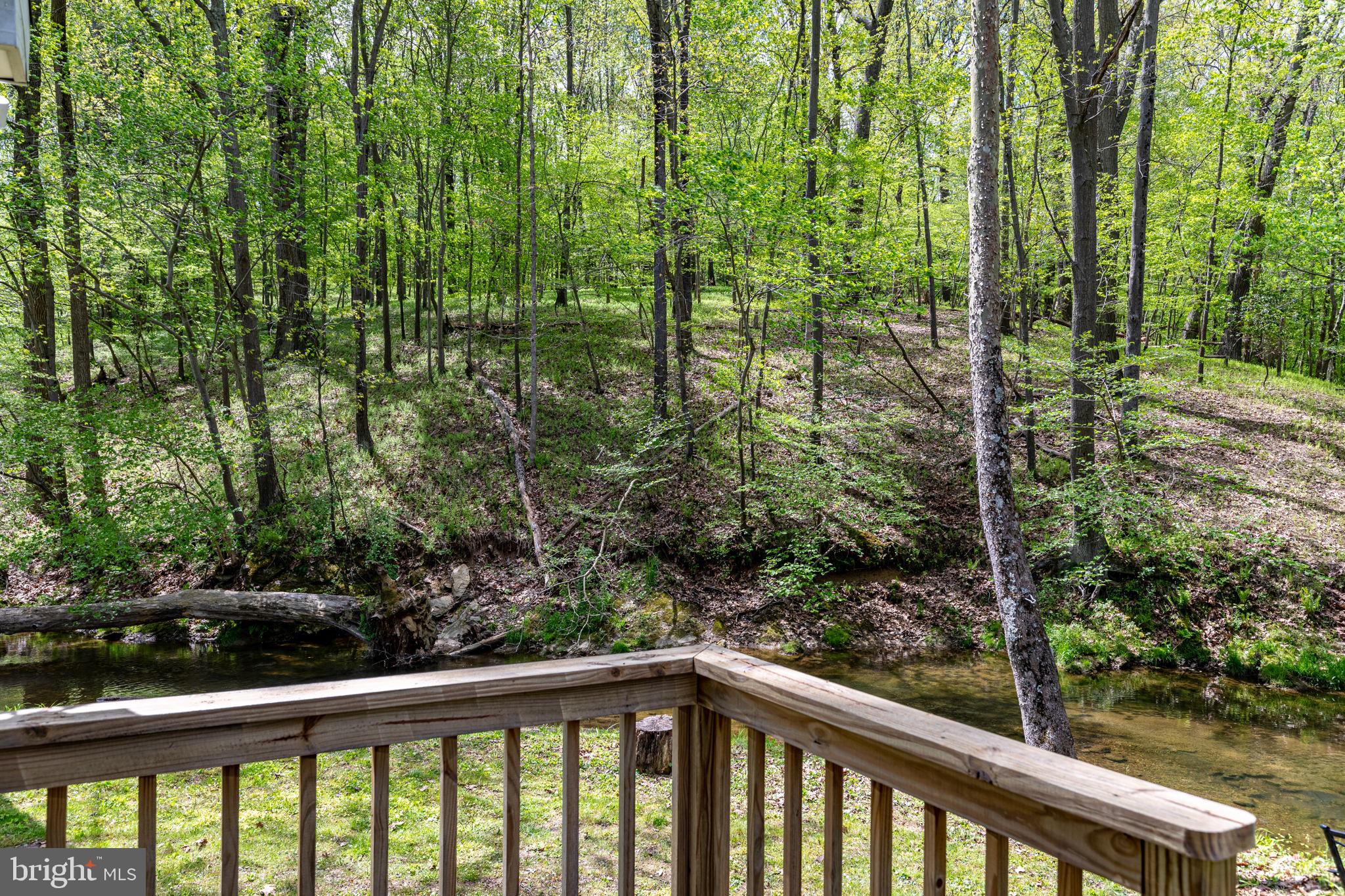 2310 Putnam Road Forest Hill, MD 21050 - Photo 21 of 90 Serene woodland retreat by the stream.