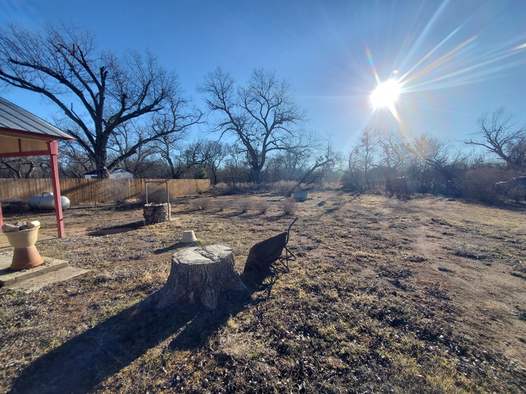 631 Millard Street Mason, TX 76856 - Photo 12 of 16 a view of a yard with wooden fence