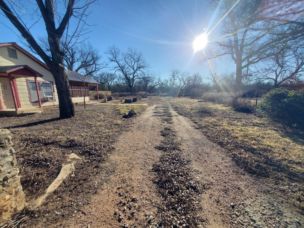 631 Millard Street Mason, TX 76856 - Photo 13 of 16 a view of a yard covered with trees