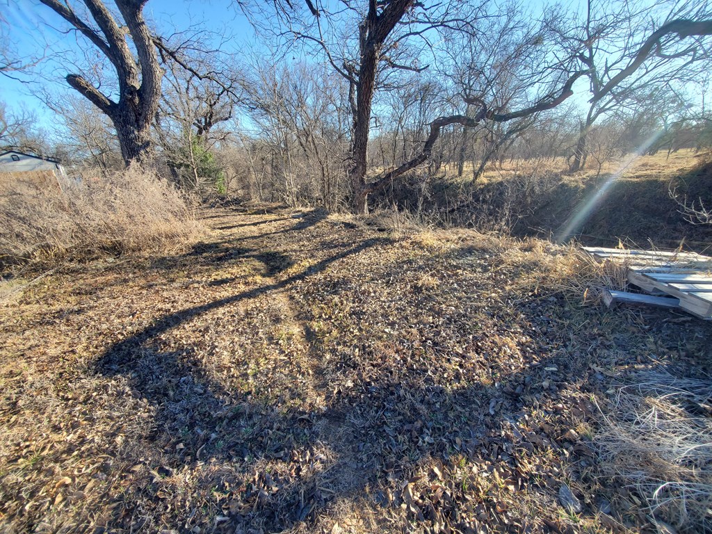 631 Millard Street Mason, TX 76856 - Photo 16 of 16 a view of empty yard with large trees