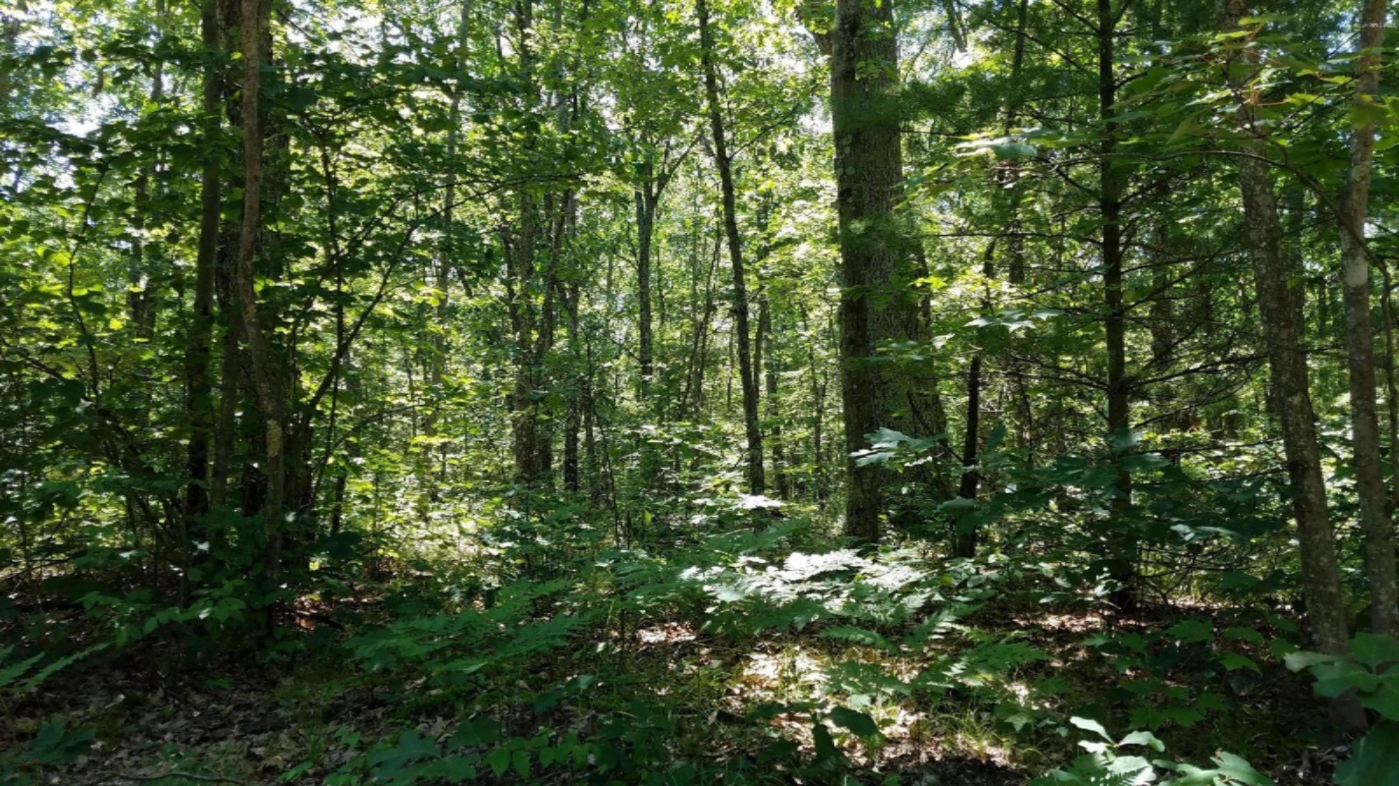 0 Kent Road, Unit LOT U Rothbury, MI 49452 - Photo 3 of 8 20170707_130713