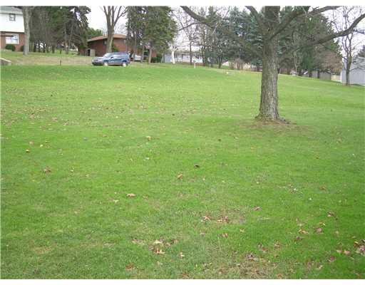 155 North Ben Franklin Road Indiana, PA 15701 - Photo 15 of 17 Yard/Garden.