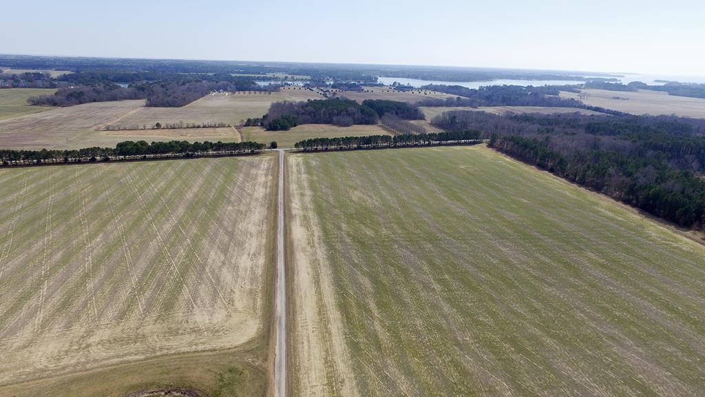 10360 Church Neck Road, Unit 12 Machipongo, VA 23405 - Photo 5 of 18