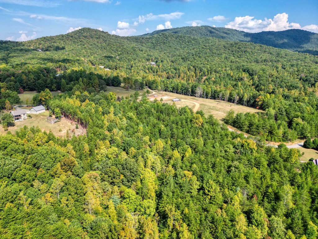 2 Barnes Creek Road Young Harris, GA 30582 - Photo 12 of 20 a view of a green yard with mountains in the background