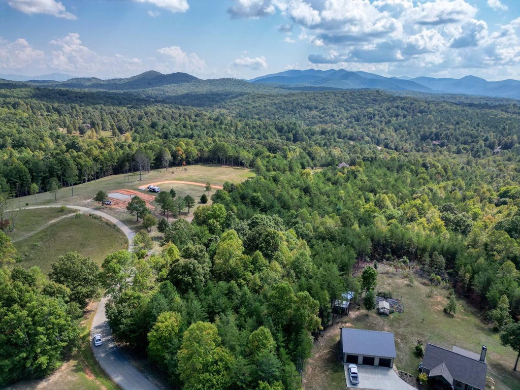 2 Barnes Creek Road Young Harris, GA 30582 - Photo 15 of 20 a view of a lush green field with mountains in the background