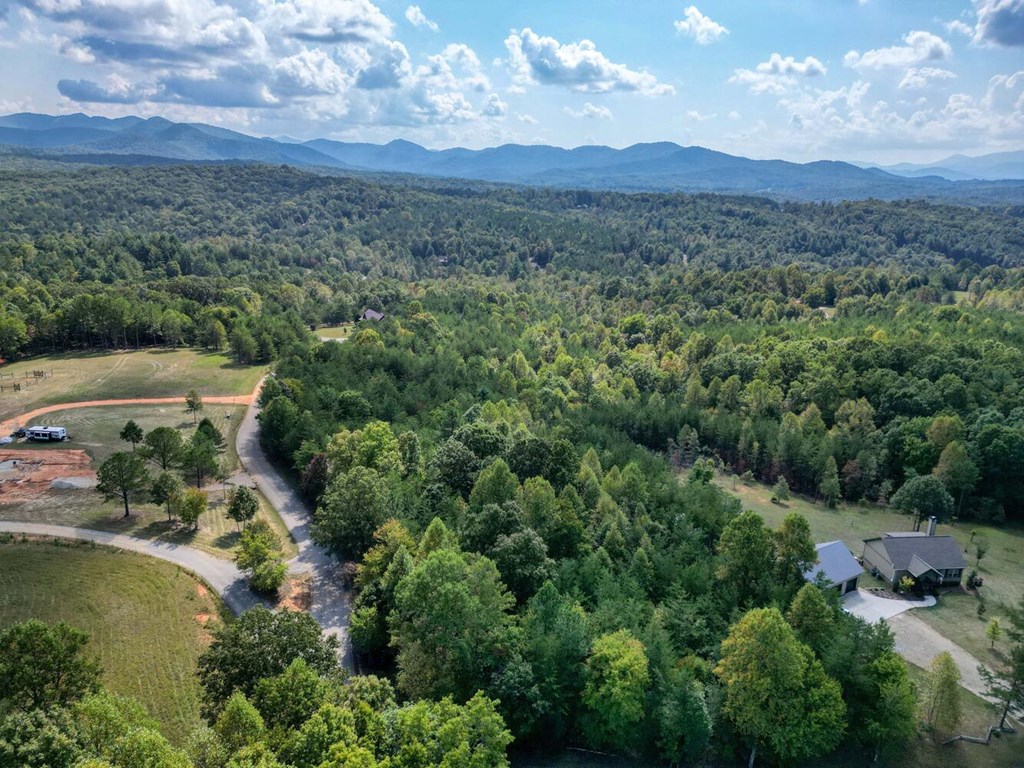 2 Barnes Creek Road Young Harris, GA 30582 - Photo 17 of 20 an aerial view of green landscape with trees houses and mountain view