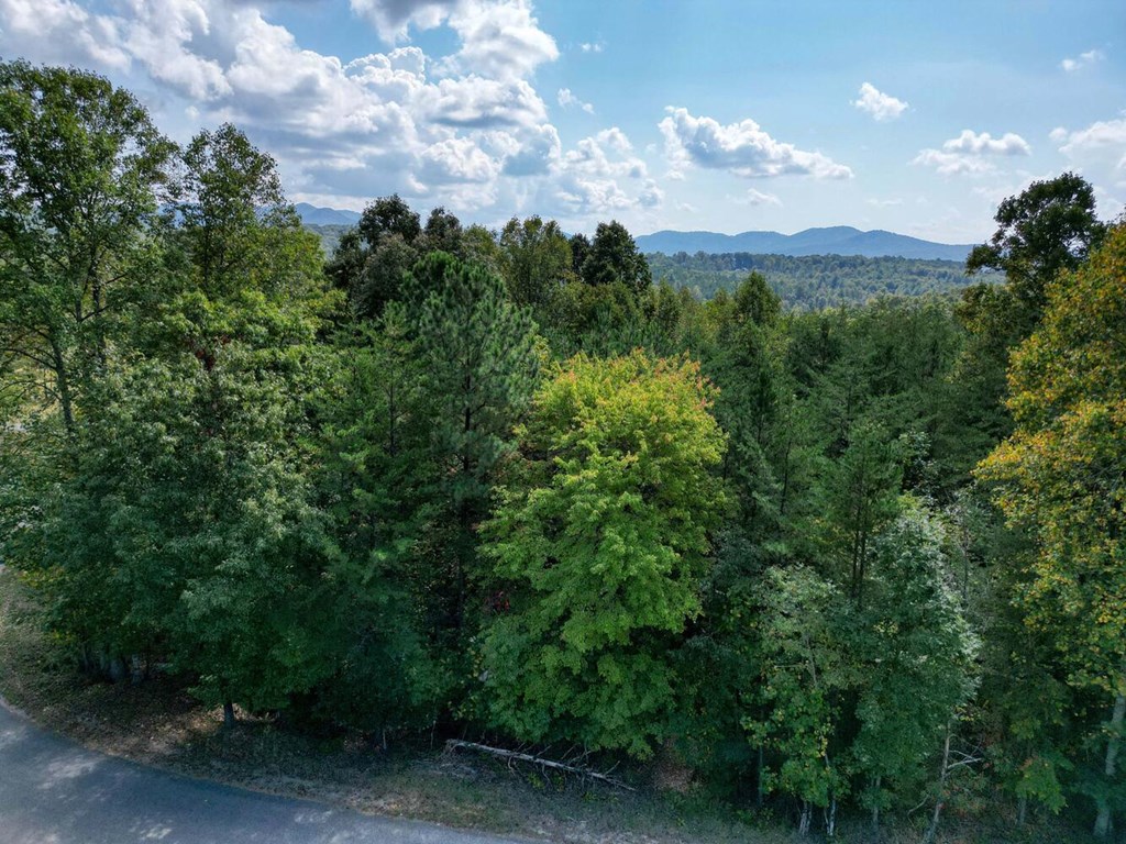 2 Barnes Creek Road Young Harris, GA 30582 - Photo 18 of 20 an aerial view of a houses with yard