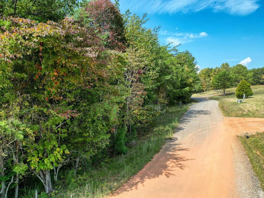 2 Barnes Creek Road Young Harris, GA 30582 - Photo 20 of 20 a view of a street with a yard