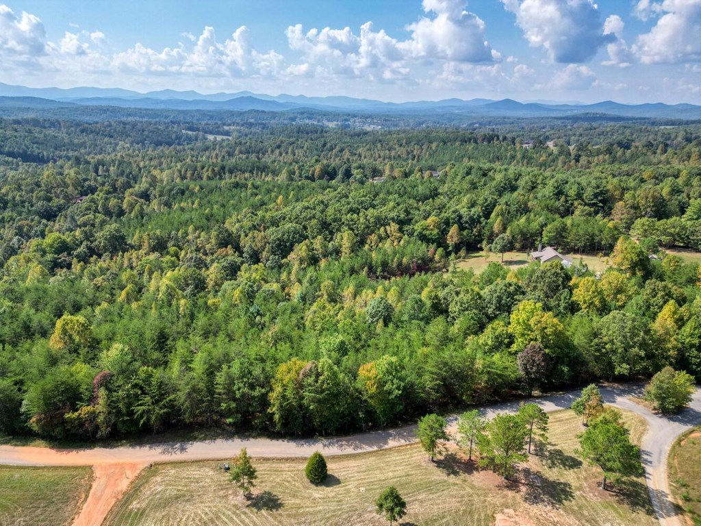 2 Barnes Creek Road Young Harris, GA 30582 - Photo 6 of 20 a view of a back yard of the house