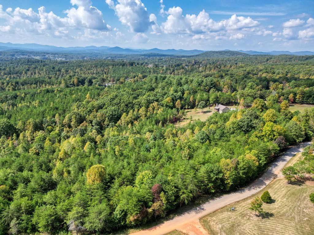 2 Barnes Creek Road Young Harris, GA 30582 - Photo 7 of 20 a view of a city with lush green forest