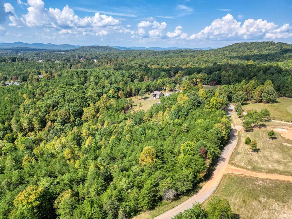 2 Barnes Creek Road Young Harris, GA 30582 - Photo 8 of 20 a view of a city with lush green forest