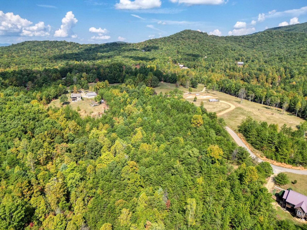 2 Barnes Creek Road Young Harris, GA 30582 - Photo 10 of 20 a view of a city with lush green forest