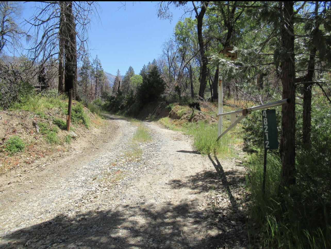 0 Balch Park Road Springville, CA 93265 - Photo 4 of 27 a view of a tree with a yard