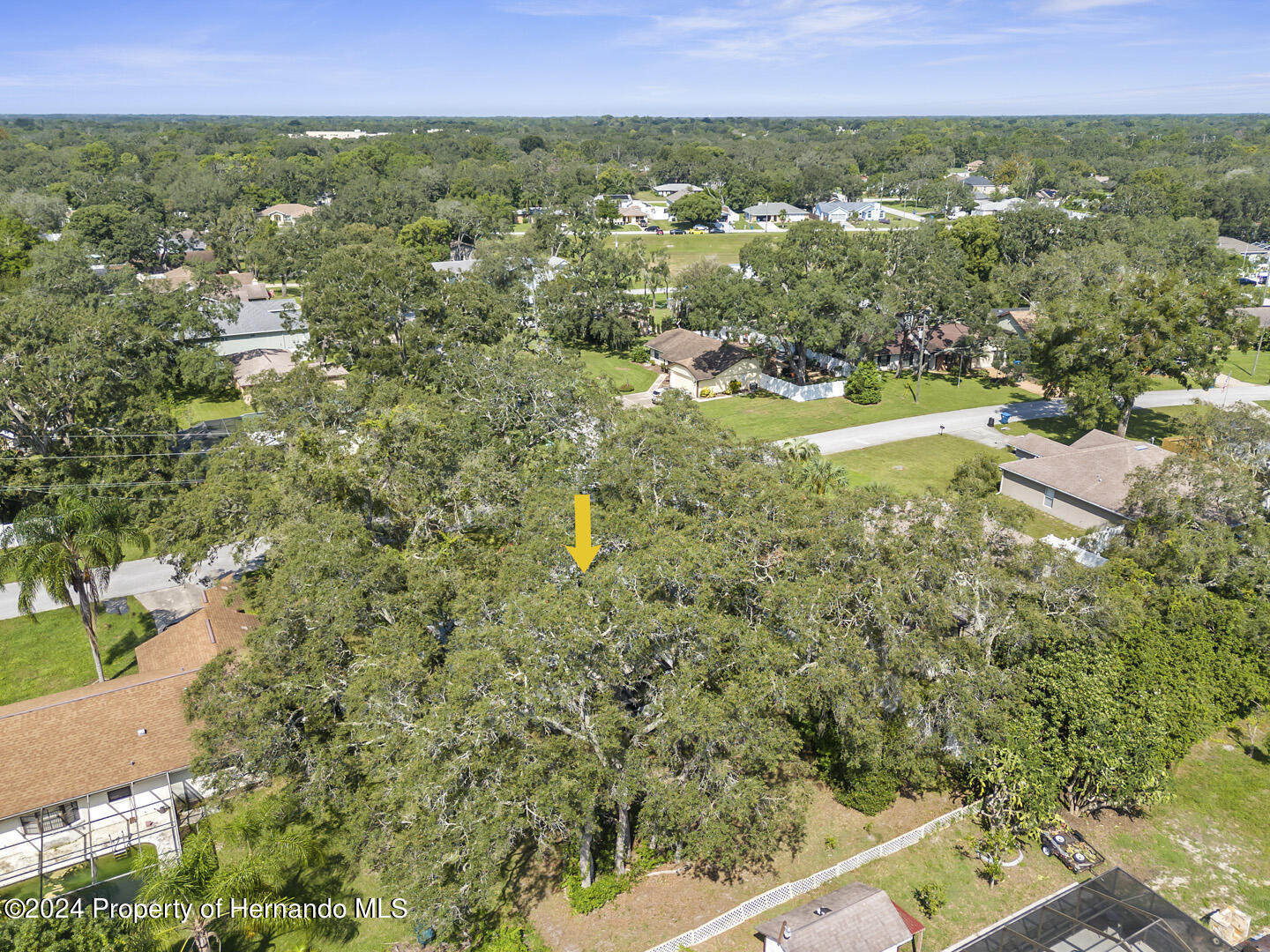 2004 Nobleton Avenue Spring Hill, FL 34608 - Photo 34 of 38 a view of a city with lush green forest