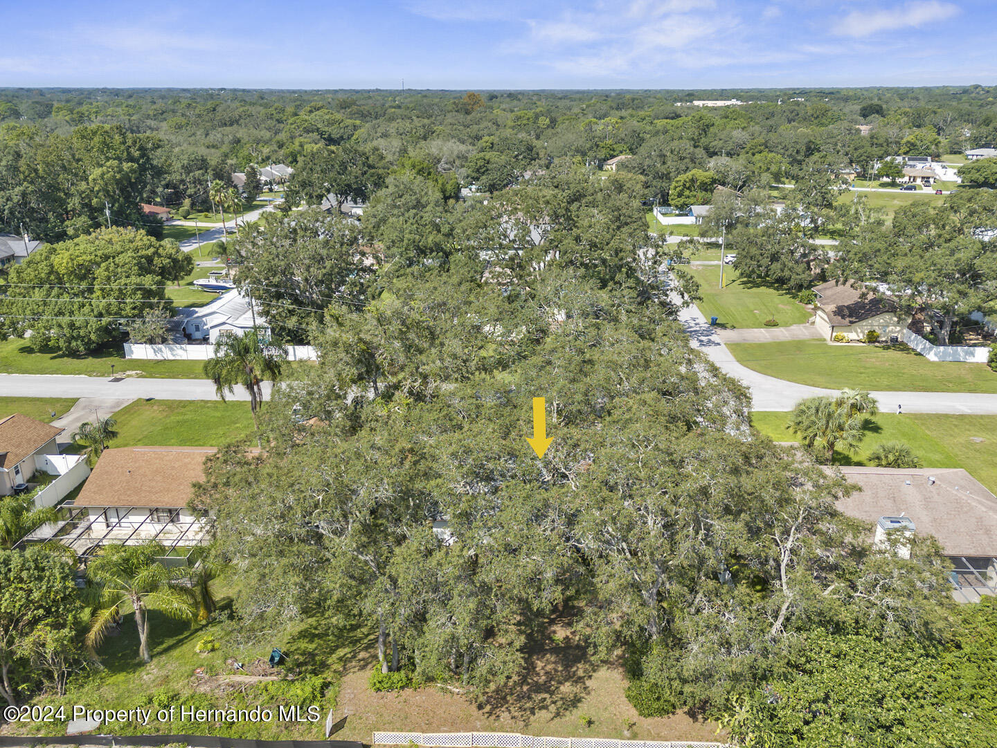 2004 Nobleton Avenue Spring Hill, FL 34608 - Photo 35 of 38 a view of an outdoor space and a yard