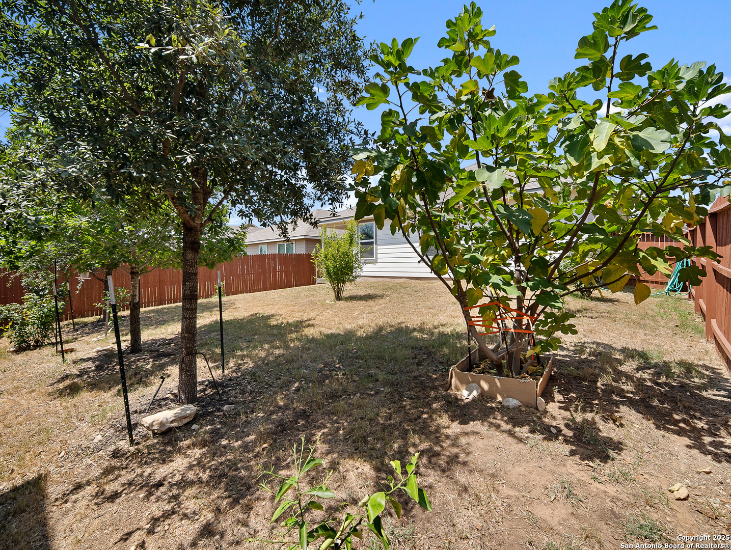 5022 Dancing Gopher San Antonio, TX 78261 - Photo 25 of 36 a backyard of a house with lots of green space