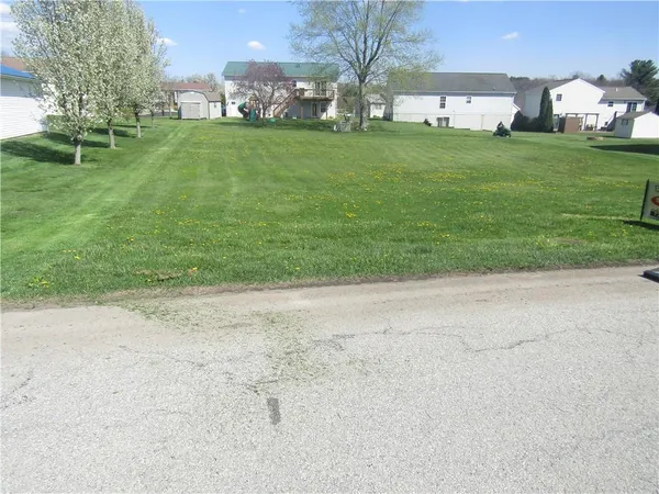 a view of a park with large trees