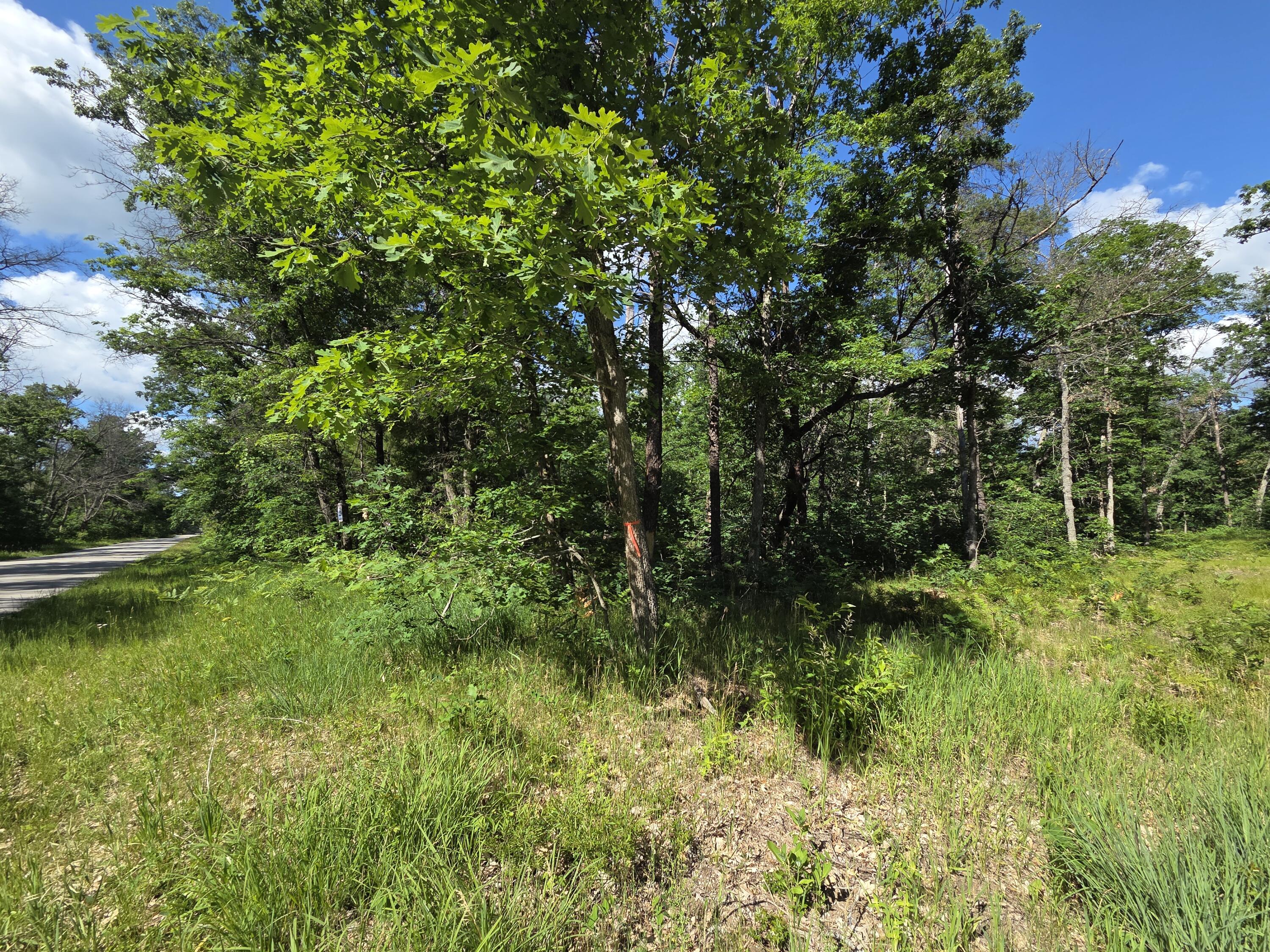 V/l South Astor Road Baldwin, MI 49304 - Photo 6 of 6 20260623_170750
