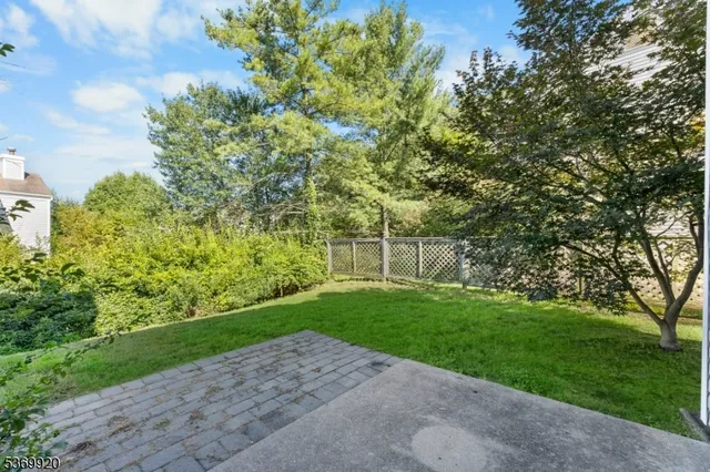 a view of a yard with plants and large trees