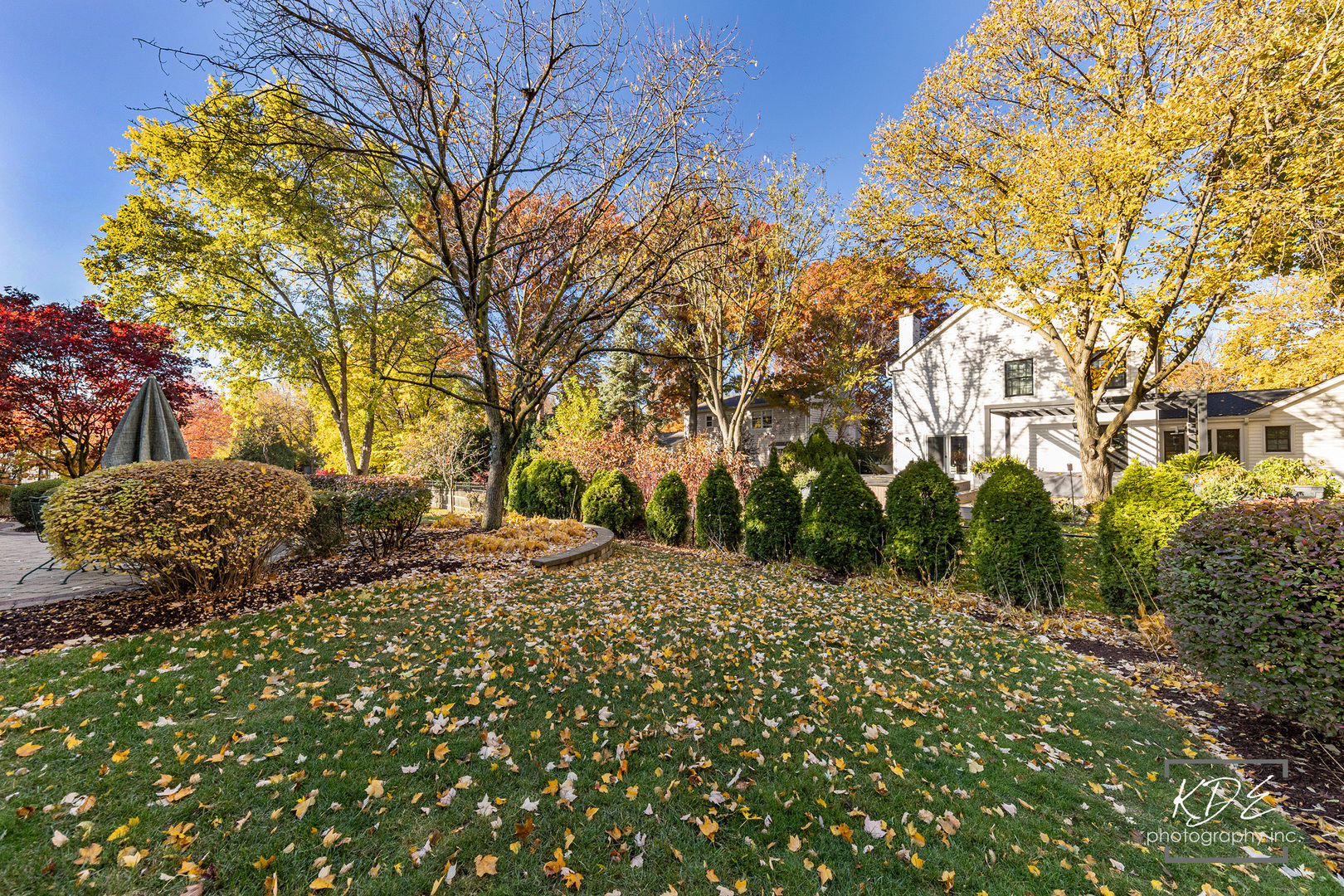 923 Tim Tam Circle Naperville, IL 60540 - Photo 28 of 28 a view of a yard with plants and trees
