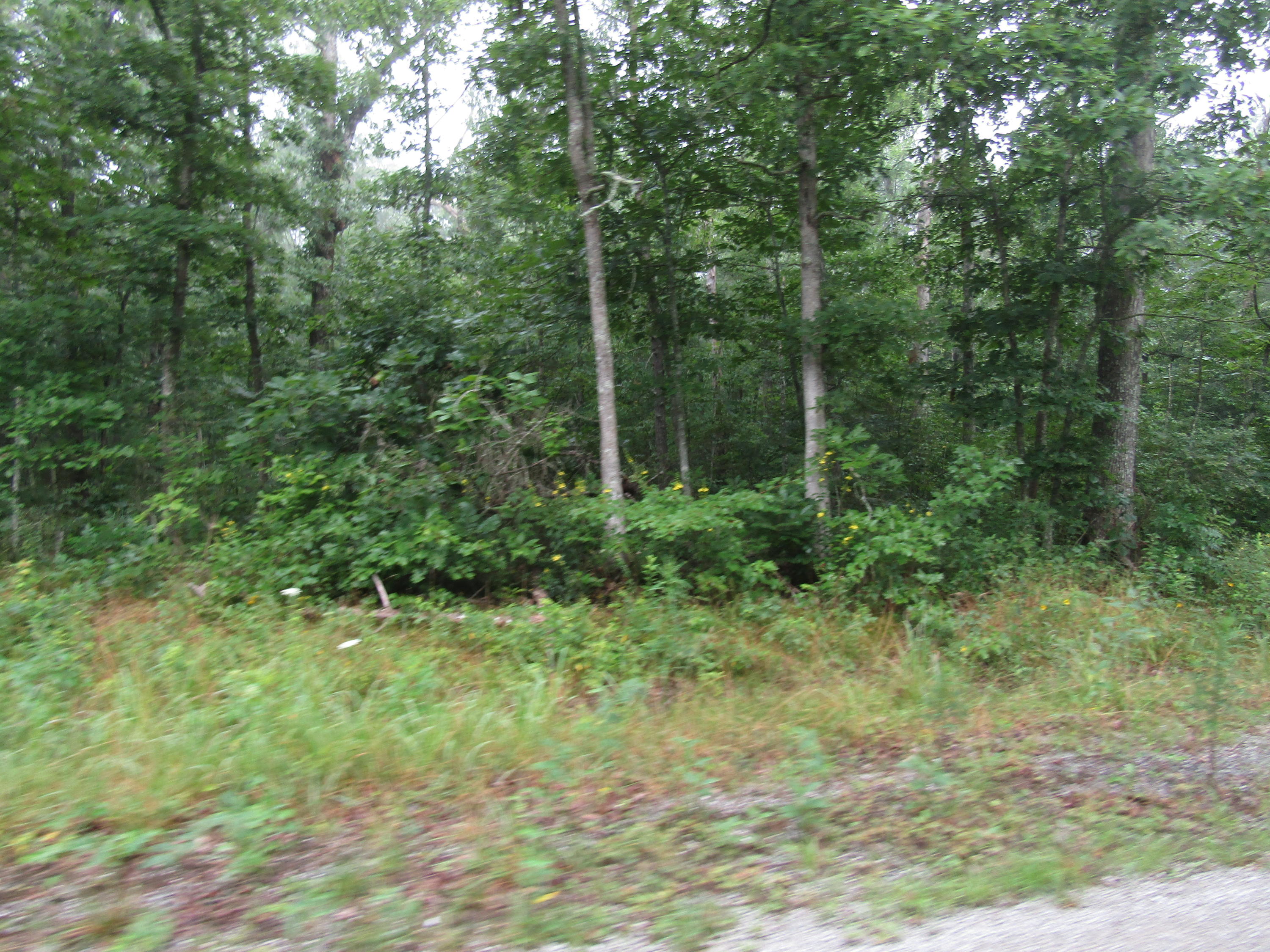 6216 Osage Road Crossville, TN 38572 - Photo 1 of 2 IMG_2363