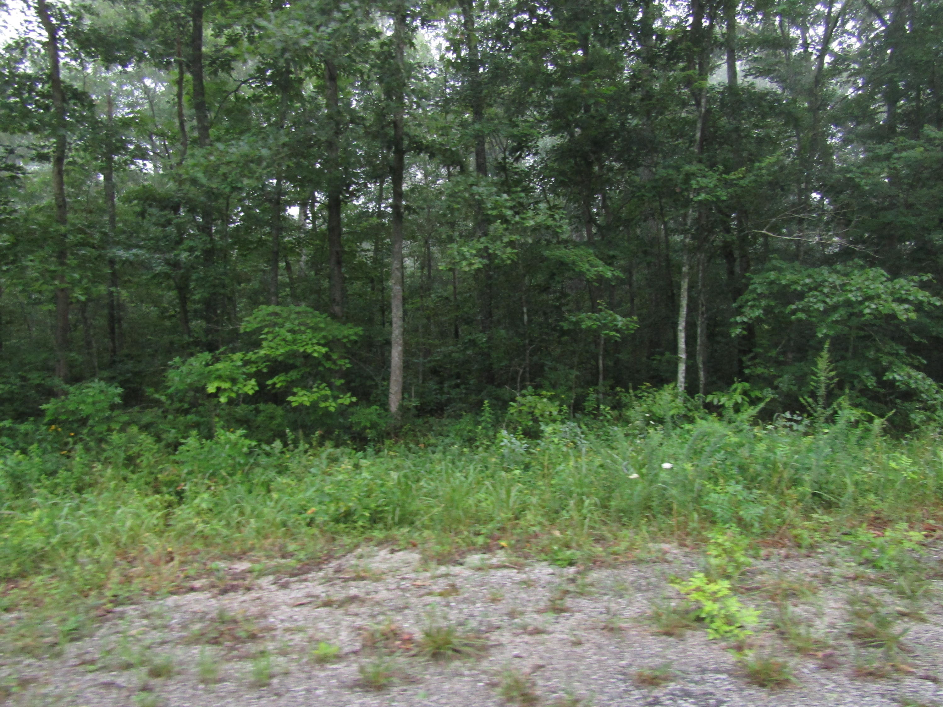 6216 Osage Road Crossville, TN 38572 - Photo 2 of 2 Osage