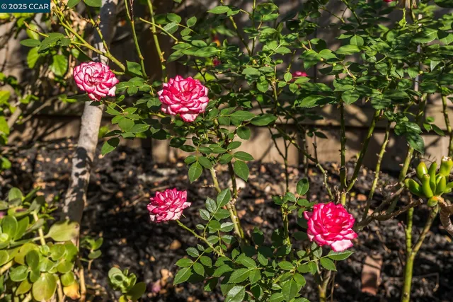 $749,000 | 1769 Redwood Road, Hercules, CA 94547