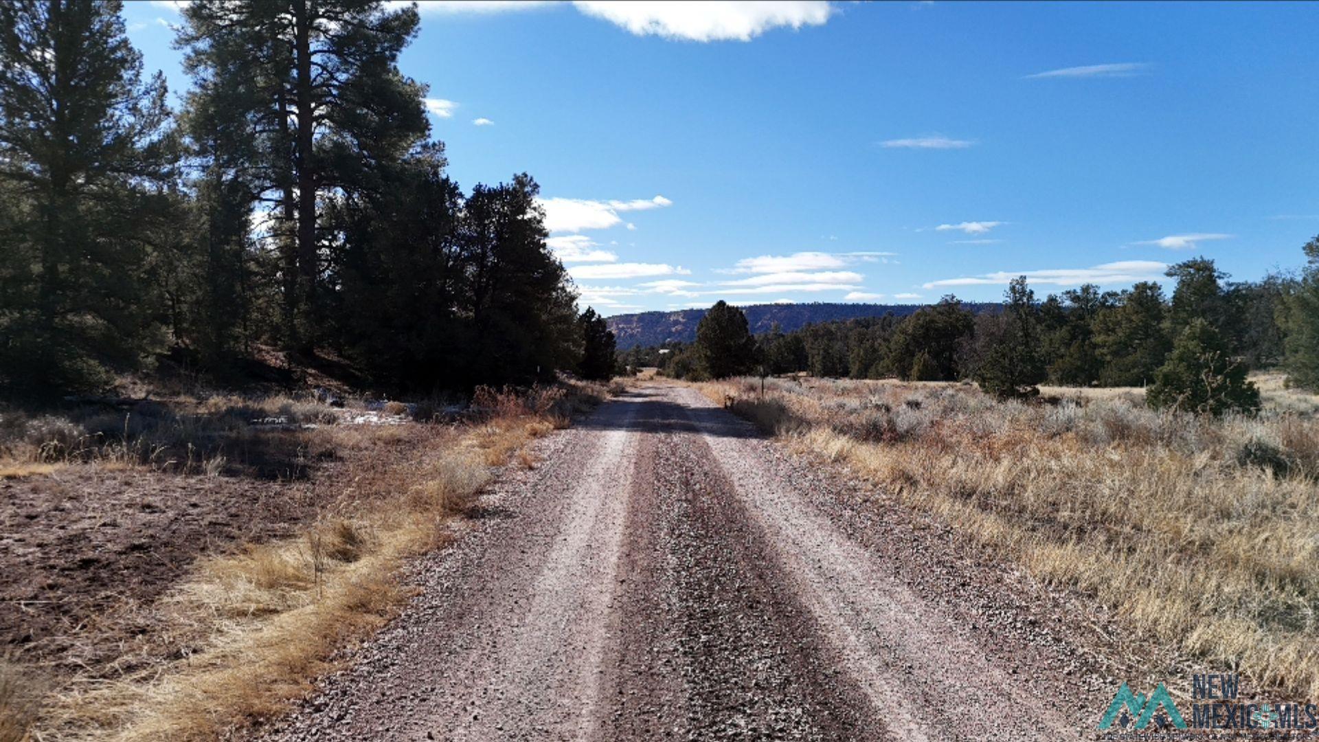 8 East Lobo Road Ramah, NM 87321 - Photo 1 of 11 View of mountain background with a heavily wooded area