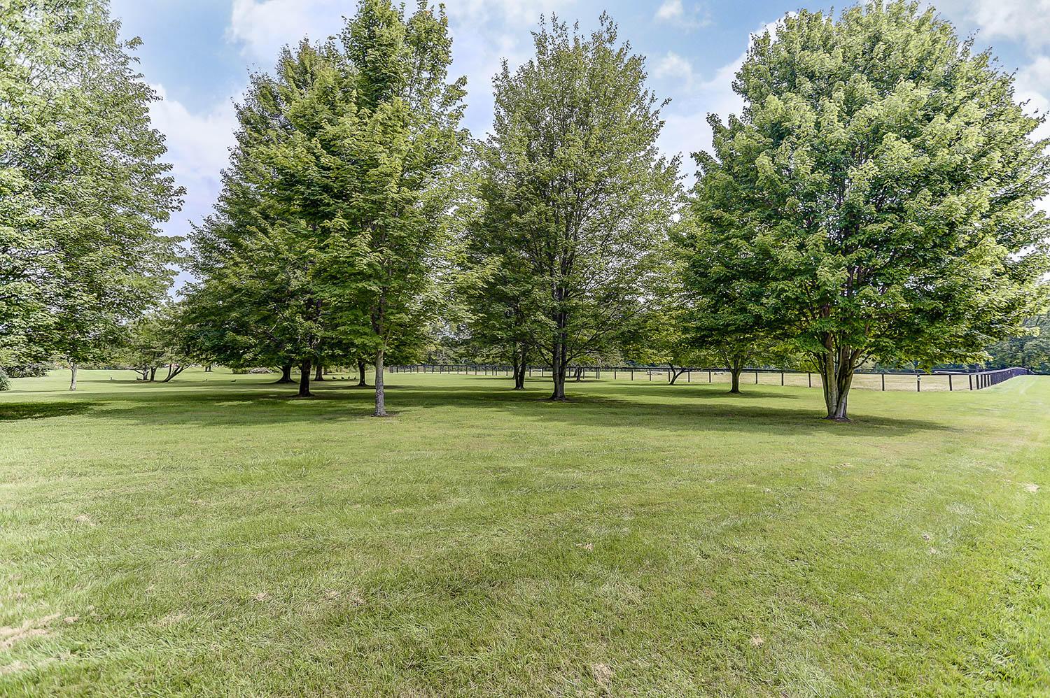 4361 Sunbury Road Galena, OH 43021 - Photo 53 of 66