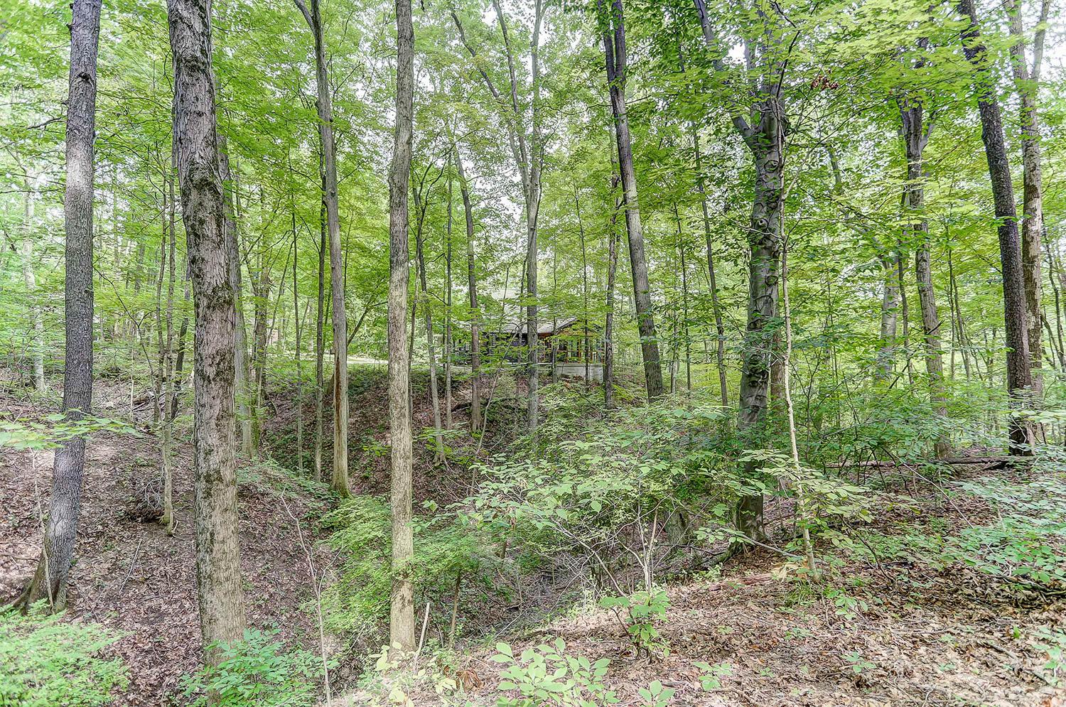4361 Sunbury Road Galena, OH 43021 - Photo 61 of 66
