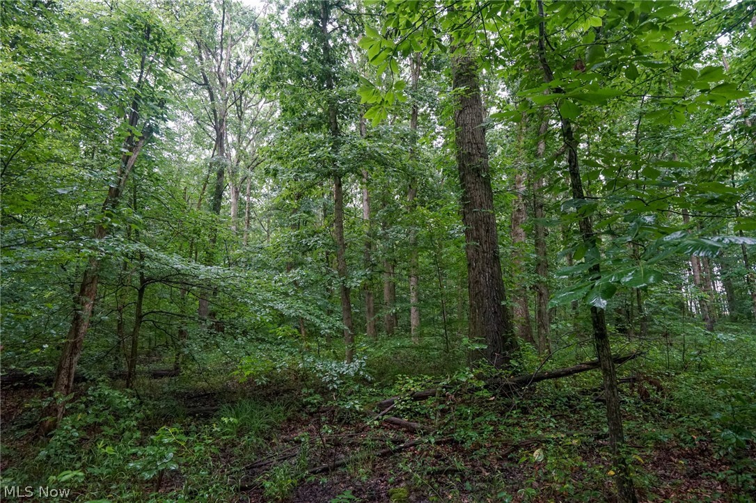 Duncanson Road Sardinia, OH 45171 - Photo 12 of 50 Gallery Image 12