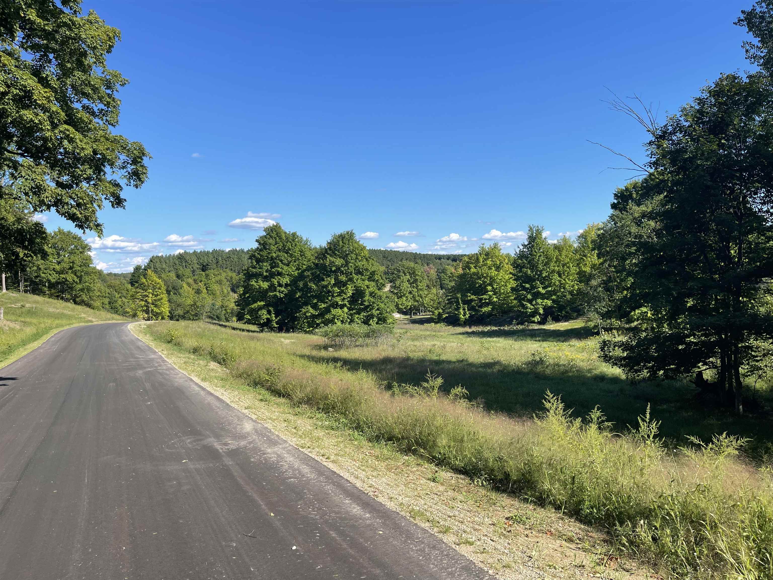 5954 Stagecoach Road, Unit LOT 48 Kingsley, MI 49649 - Photo 9 of 16
