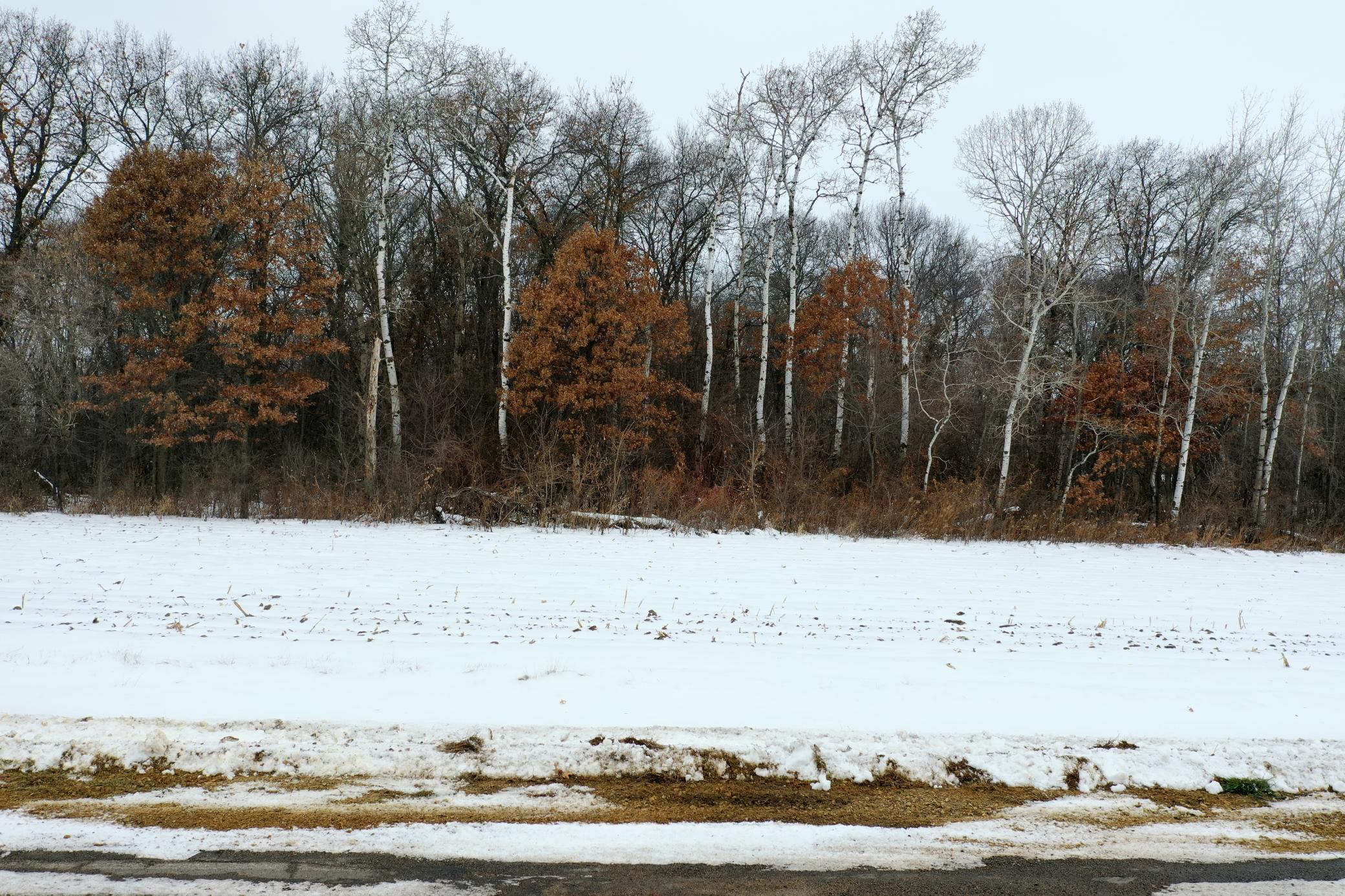 36 County Road West River Falls, WI 54022 - Photo 1 of 1 Gallery Image 1