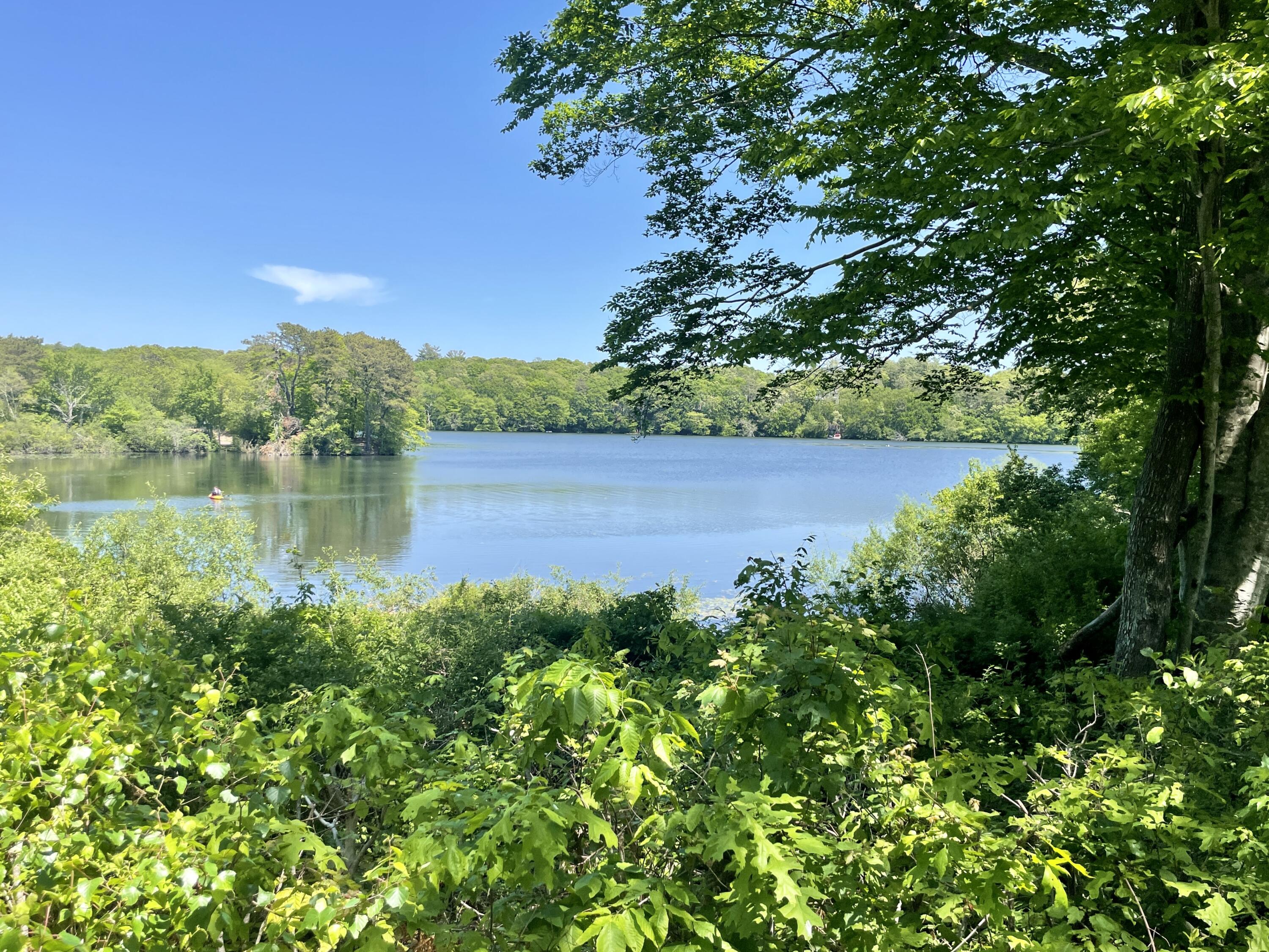 42 Forest Drive Mashpee, MA 02649 - Photo 48 of 55 a view of a lake with a yard