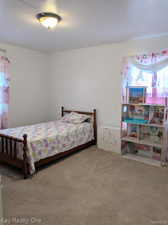 8033 Lambs Road Goodells, MI 48027 - Photo 35 of 52