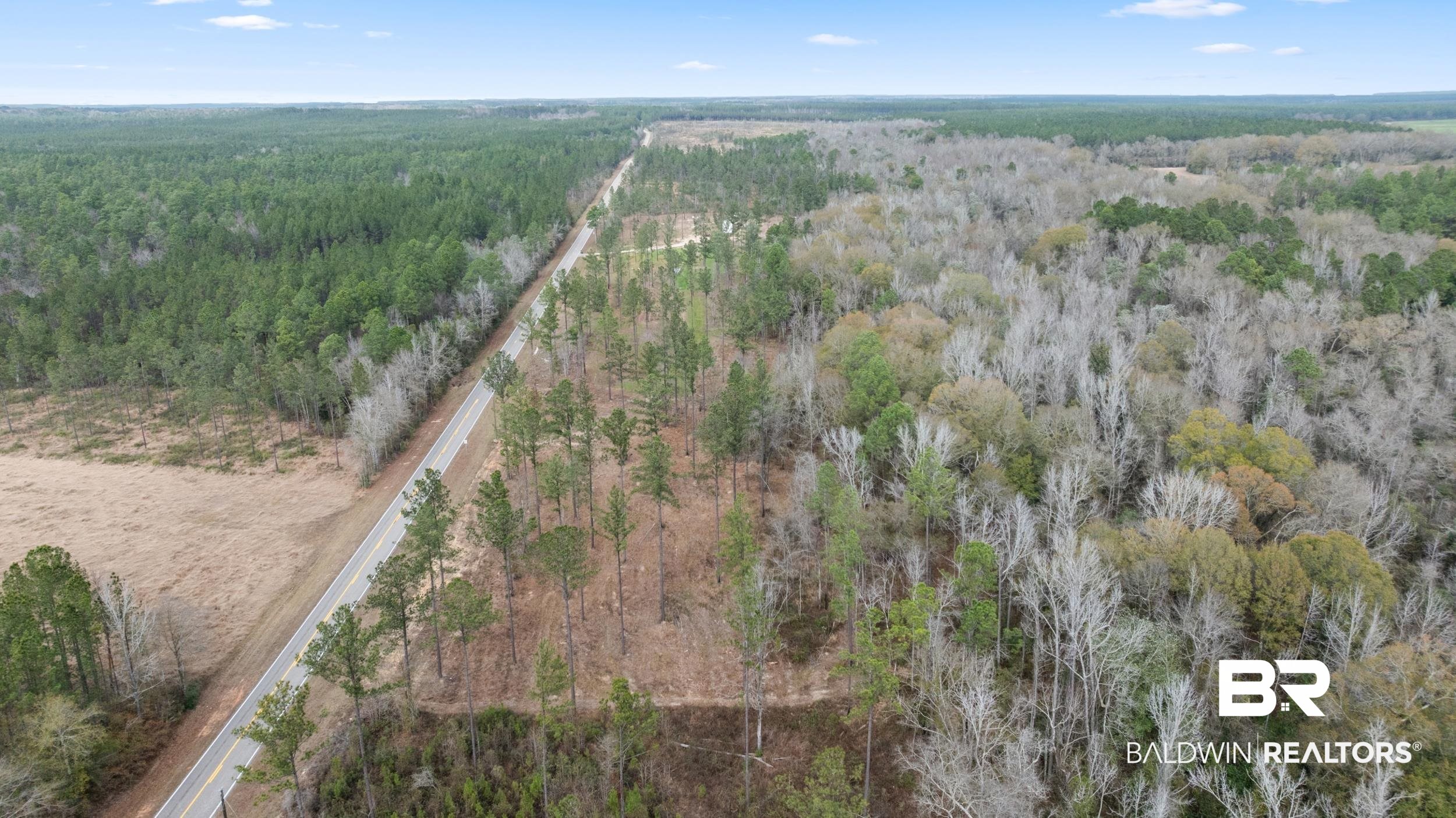 0 Lottie Road Atmore, AL 36502 - Photo 14 of 17 View of property location featuring a forest